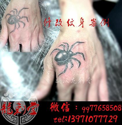 ���������8̨���޸�3d