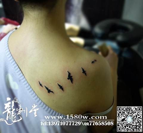 �ÿ��ļ���ͼ����������