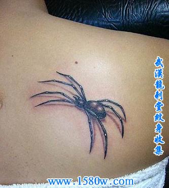 ����֩������&nbsp;�人��õ�