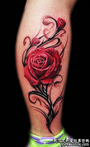 3Dõ�廨����