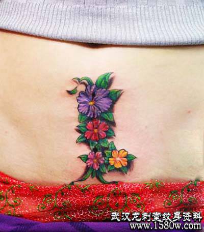 �����ڸ��ʸ��������̺�