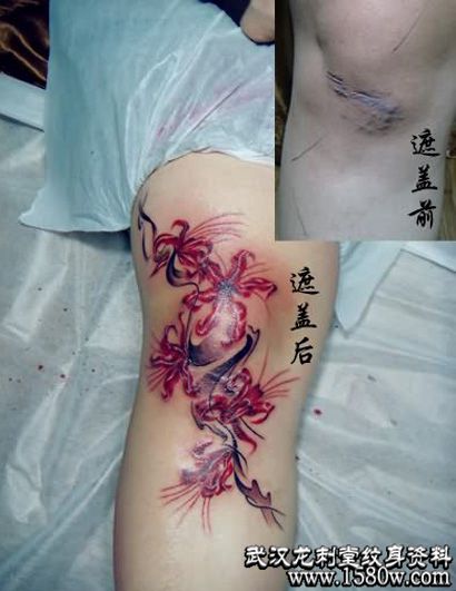 �ڸ��Ȳ��˰������˺���