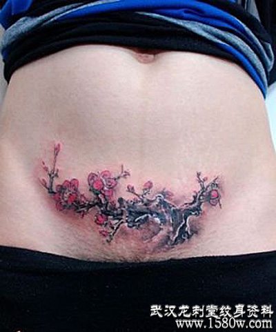 �ʸ��������̺��ڸ�����