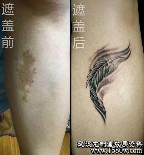 �ڸ�̥����������̥����