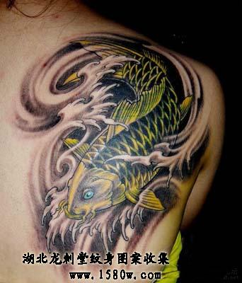 ����������������