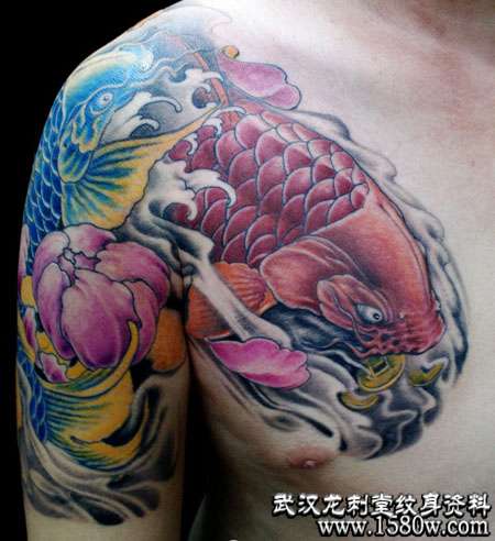 ��������������