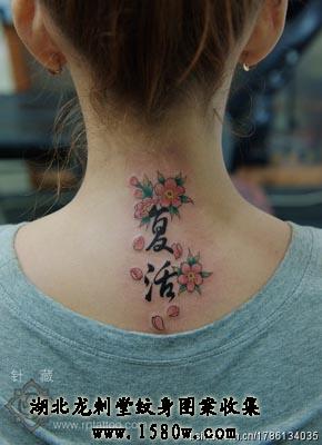 ӣ��������������������