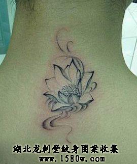 ����������������