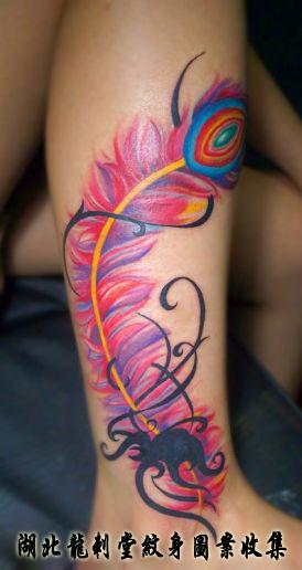 ��ë����ͼ��