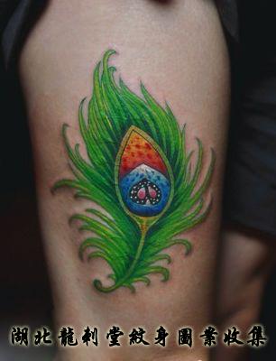 �����ë����ͼ��