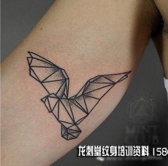 ��ֽ�������