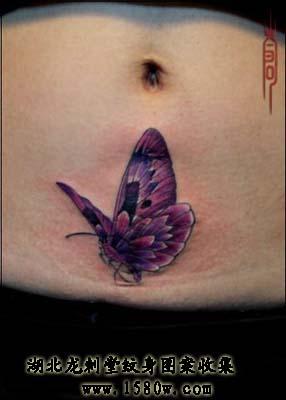 �ʵ�������������