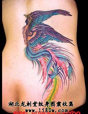 Ů�������������