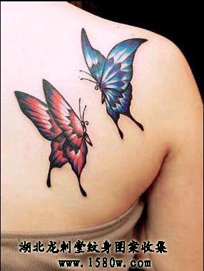 �粿���������粿����