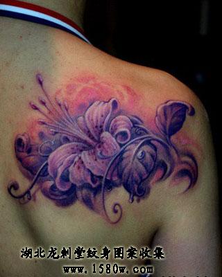 �ٺϻ������粿����