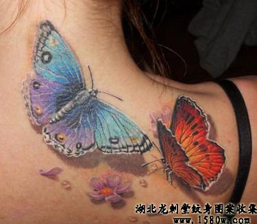 3D���������粿����3D��