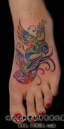 �ű�С�������Ų�����