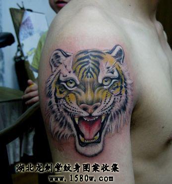 ��˧��ͷ����ͼ��