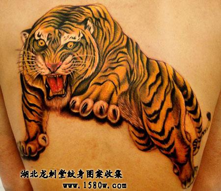 �ͻ������ϻ�����