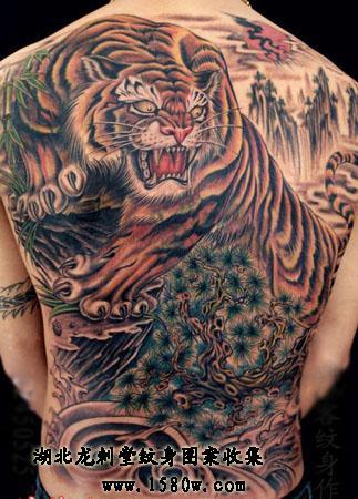 �����ͻ������ϻ�����