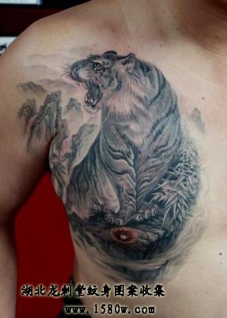 �ͻ������ϻ�����