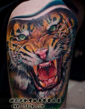 3D�����ϻ�����