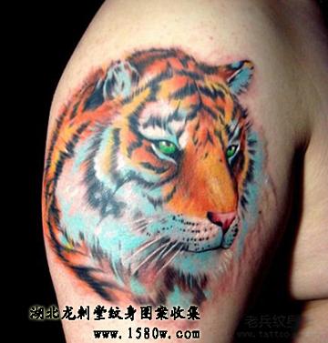 �ϻ�������ͷ����ͼ��