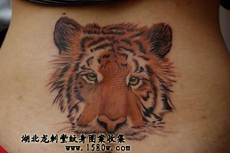 ��ͷ�����ϻ�����