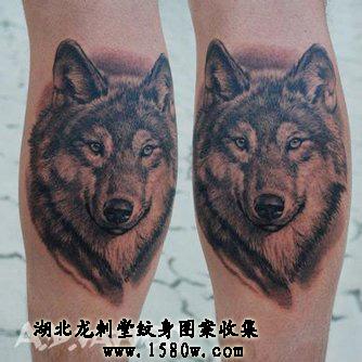 ������ͷ����ͼ��