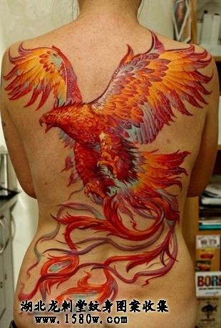 ��ӥ������ӥ����