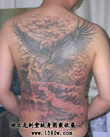 ��ɽ��ӥ������ӥ����