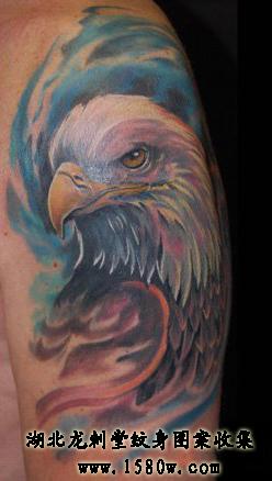 ˮī�����ӥͷ������ӥ