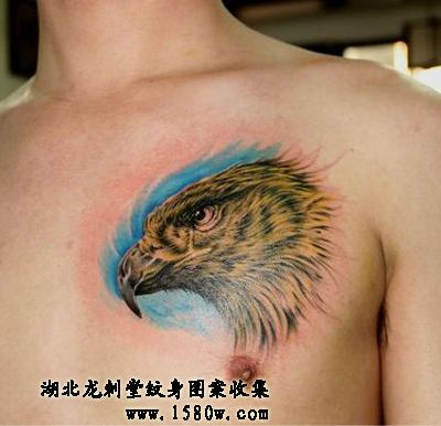 ��ӥ����ͼ��