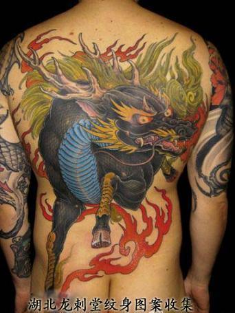 ����������ͼ��