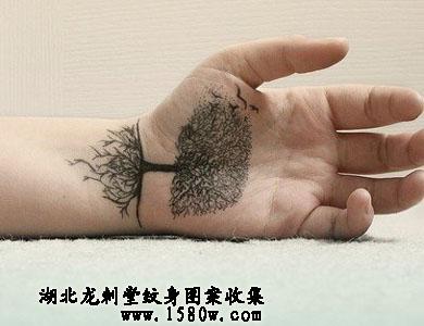 ���������ֲ�����