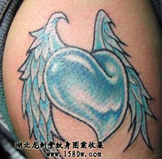 ���ĳ�������ֲ�����