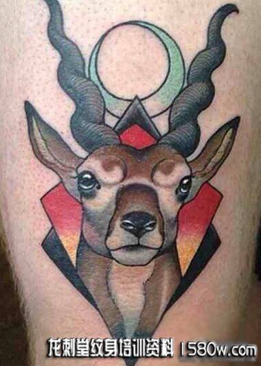 school&nbsp;&nbsp;¹ͷ����ͼ��