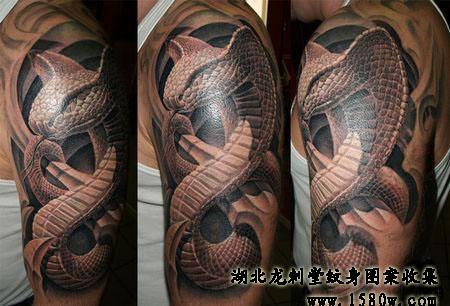 3D����3D�۾�������