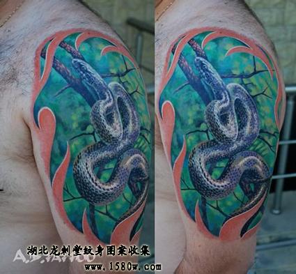 3D������ͼ��