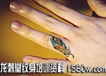 ��ɫ��ë����ͼ����ָ��