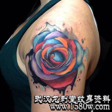 ��ɫ��īõ�廨����