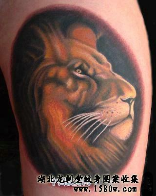 ʨͷ����ʨ������