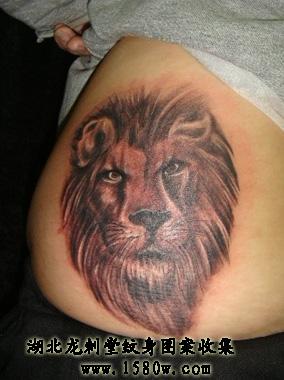 Ů������ʨ������