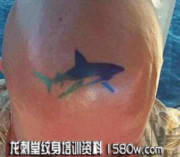 ͷ����������ͼ��