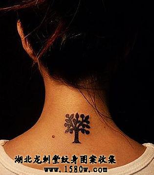 ͼ����������ͼ������