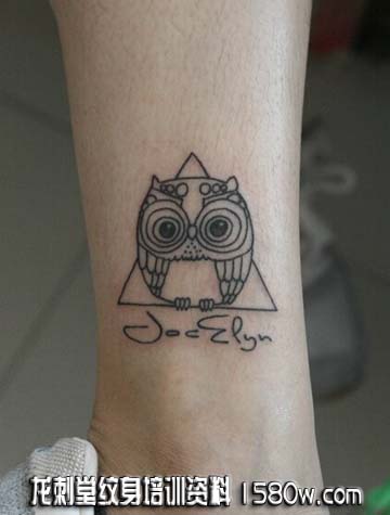 �Ȳ���������èͷӥ����