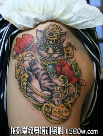 ��������è������ͼ��