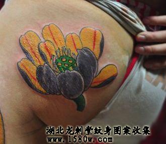 �ɻ������β�����