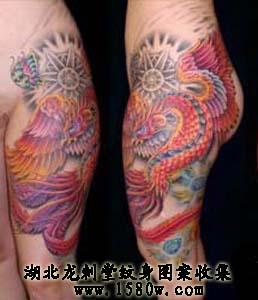 ��������β�����