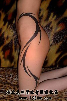 ����ͼ�������β�����